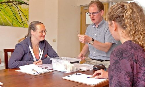 Rob Sijbers ehab cursus veenendaal